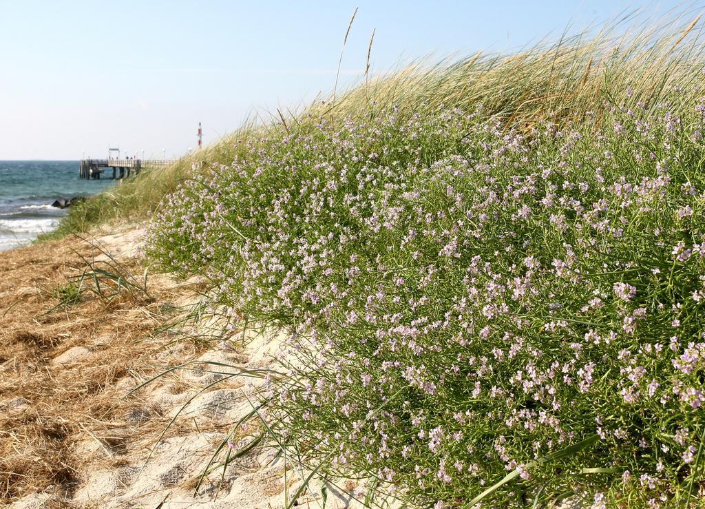 Ostseehotel Wustrow Wustrow  Bagian luar foto
