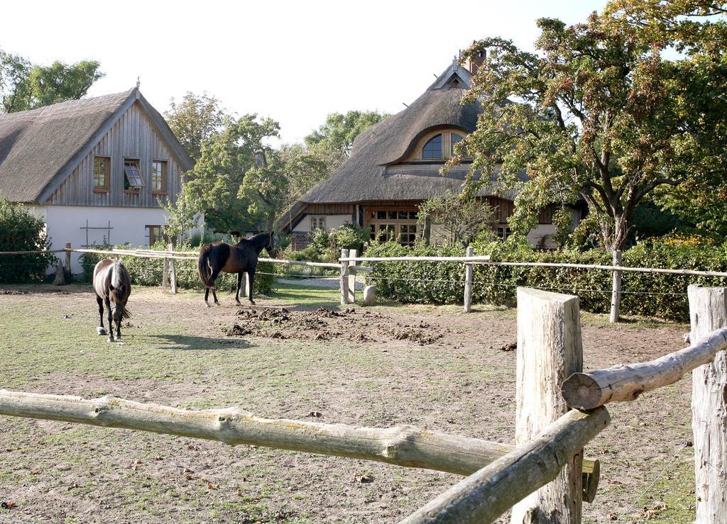 Ostseehotel Wustrow Wustrow  Bagian luar foto
