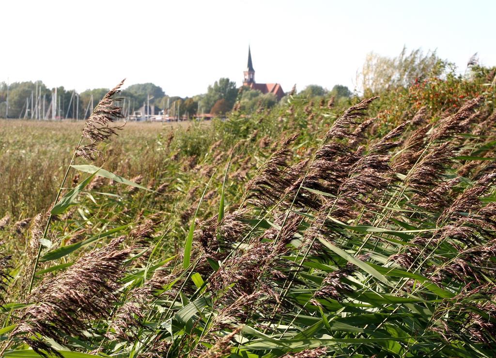 Ostseehotel Wustrow Wustrow  Bagian luar foto